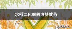 水稻二化螟防治特效药 水稻二化螟用药