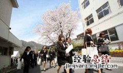 孩子在日本留学如何办理探亲签证 详细指南