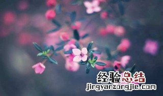 早安短句 句句温馨