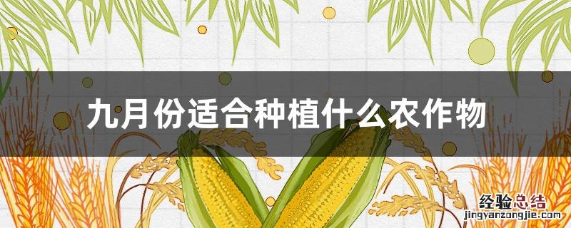 九月份适合种植什么农作物 九月份适合种植什么农作物四川