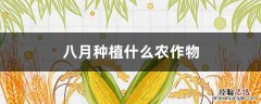 八月种植什么农作物最好 八月种植什么农作物
