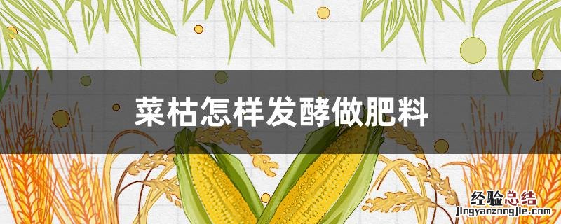 菜枯怎样发酵做肥料 菜枯怎样发酵做肥料对身体好处吗有害吗