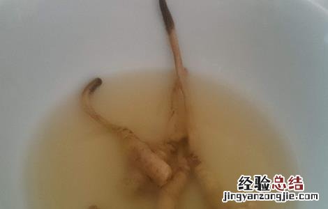 冬虫夏草泡水喝的方法与疗效 冬虫夏草泡水喝的功效和方法