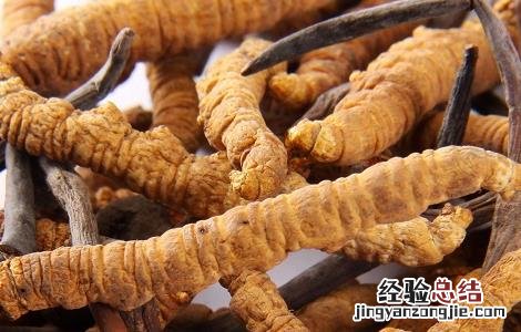 冬虫夏草泡水喝的方法与疗效 冬虫夏草泡水喝的功效和方法