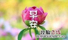 早上好问候语 美好问候语陈列