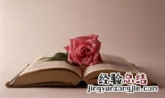 诗史数千言秋天一鹄先生骨歌颂的是谁 诗史数千言秋天一鹄先生骨是用以歌颂谁的
