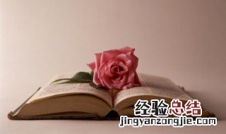 诗史数千言秋天一鹄先生骨歌颂的是谁 诗史数千言秋天一鹄先生骨是用以歌颂谁的