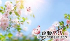形容春天到来万物复苏的句子 形容春天到来万物复苏的美句