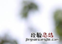 山荆子怎么嫁接茶花 山荆子怎么嫁接茶花