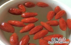 枸杞泡水喝的功效与作用 枸杞红枣泡水喝的功效与作用