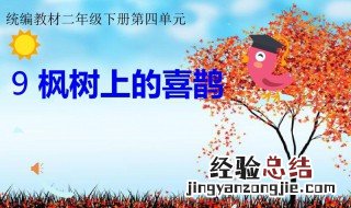 枫树上的喜鹊教材解读 枫树上的喜鹊教材解读看这里