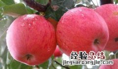 早上空腹吃苹果好吗 吃苹果的好处