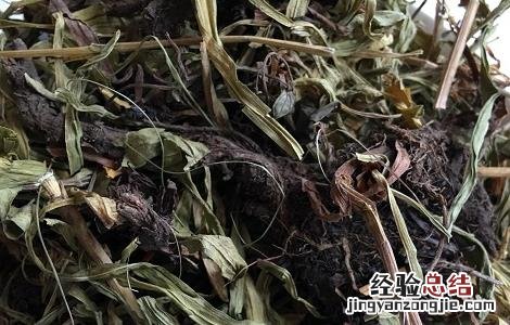 甘松的功效与作用及副作用是什么 甘松的功效与作用