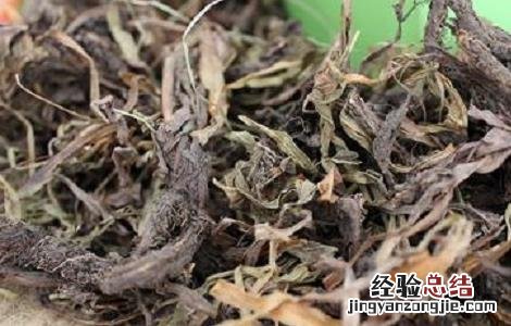 甘松的功效与作用及副作用是什么 甘松的功效与作用