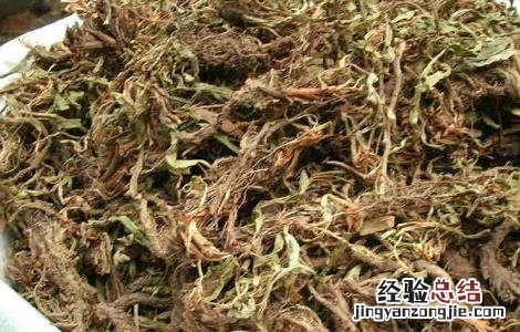 甘松的功效与作用及副作用是什么 甘松的功效与作用