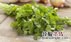 香菜水的功效与作用 香菜水的功效与作用有什么