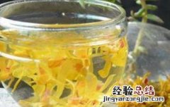 石斛花的功效与作用及禁忌 石斛花的功效与作用及禁忌症有哪些