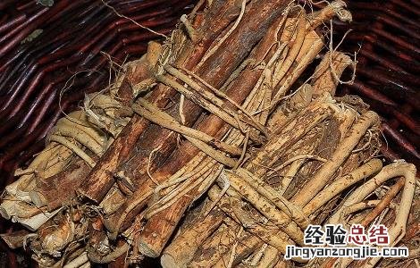 五指毛桃酒的功效和制作方法 五指毛桃酒的功效和制作方法及禁忌