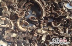 合欢皮泡水喝的功效与作用 合欢皮泡水喝的功效