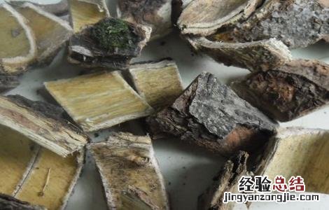 合欢皮泡水喝的功效与作用 合欢皮泡水喝的功效