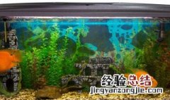 鱼缸摆放位置 鱼缸摆放位置有什么讲究