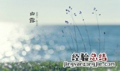 白露是什么季节 白露是第几个节气
