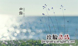 白露是什么季节 白露是第几个节气
