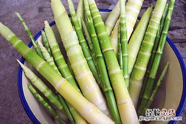 竹笋的做法有哪些家常菜 竹笋的做法有哪些