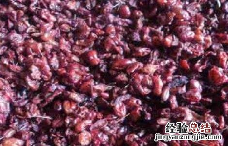 山萸肉的功效和食用方法 山萸肉的功效和食用方法图片