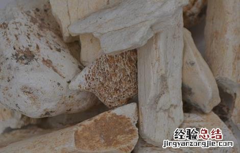 龙齿的功效与作用及注意事项视频 龙齿的功效与作用及注意事项