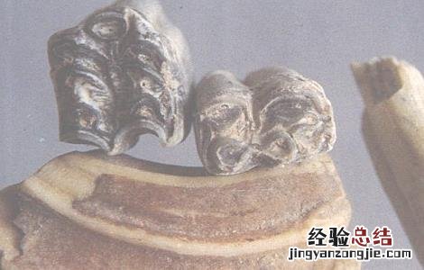 龙齿的功效与作用及注意事项视频 龙齿的功效与作用及注意事项