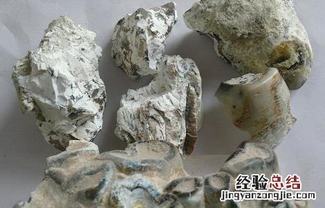 龙齿的功效与作用及注意事项视频 龙齿的功效与作用及注意事项