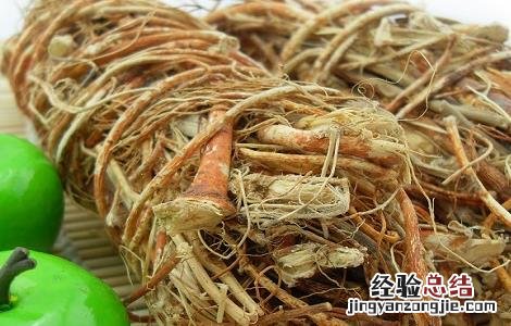 五指毛桃的功效与作用 五指毛桃的功效与作用图片
