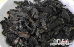 草乌的功效与作用及禁忌症 草乌的功效与作用及禁忌