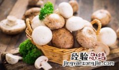 蘑菇有几种吃法怎么做好吃 蘑菇怎么做好吃有几种做法