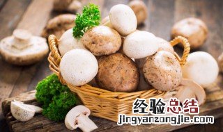 蘑菇有几种吃法怎么做好吃 蘑菇怎么做好吃有几种做法
