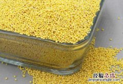 黍子米的营养价值 黍子米的功效与作用及食用方法方式