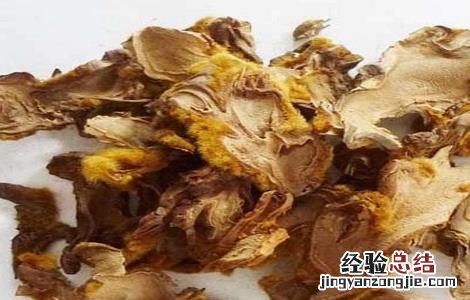 狗脊的功效和作用 狗脊的功效作用与主治