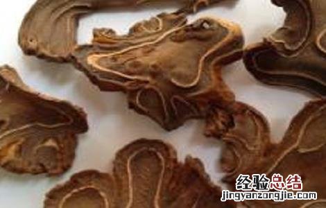 狗脊的功效和作用 狗脊的功效作用与主治