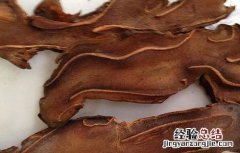 狗脊的功效和作用 狗脊的功效作用与主治