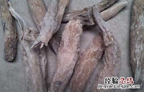 紫茉莉根的功效与作用 紫茉莉根的功效与作用 乳腺癌