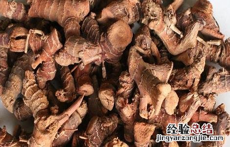 高良姜的功效与作用及使用禁忌图片 高良姜的功效与作用及使用禁忌