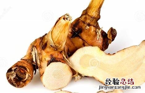 高良姜的功效与作用及使用禁忌图片 高良姜的功效与作用及使用禁忌