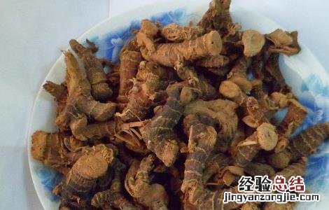 高良姜的功效与作用及使用禁忌图片 高良姜的功效与作用及使用禁忌