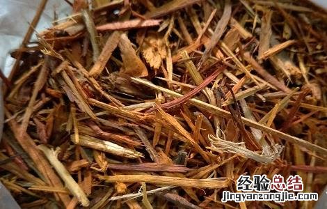 猫须草的正确服用方法 猫须草的正确服用方法以及副作用和禁忌