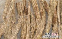 通关藤的功效与作用 通关藤的功效与作用点