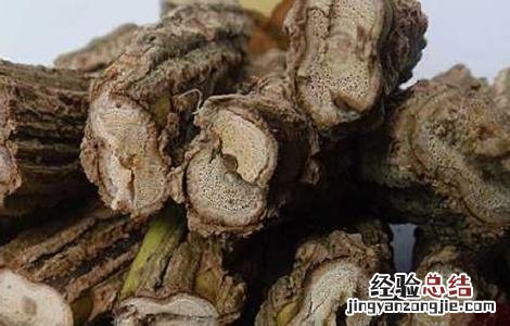 通关藤的功效与作用 通关藤的功效与作用点