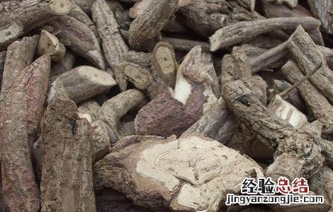 通关藤的功效与作用 通关藤的功效与作用点