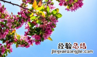 空气湿度100%会怎样 空气湿度100%的后果