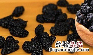 桑粒泡水的方法 桑葚子泡水的方法